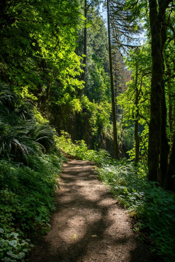 kalalau trail