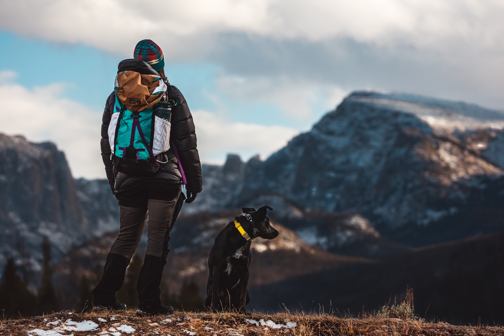 Dog Friendly Trails