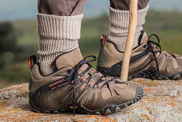 Top 5 Best best hiking shoes for beginners in 2024